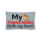Grey Pillow 'My Pomeranian stole my heart'